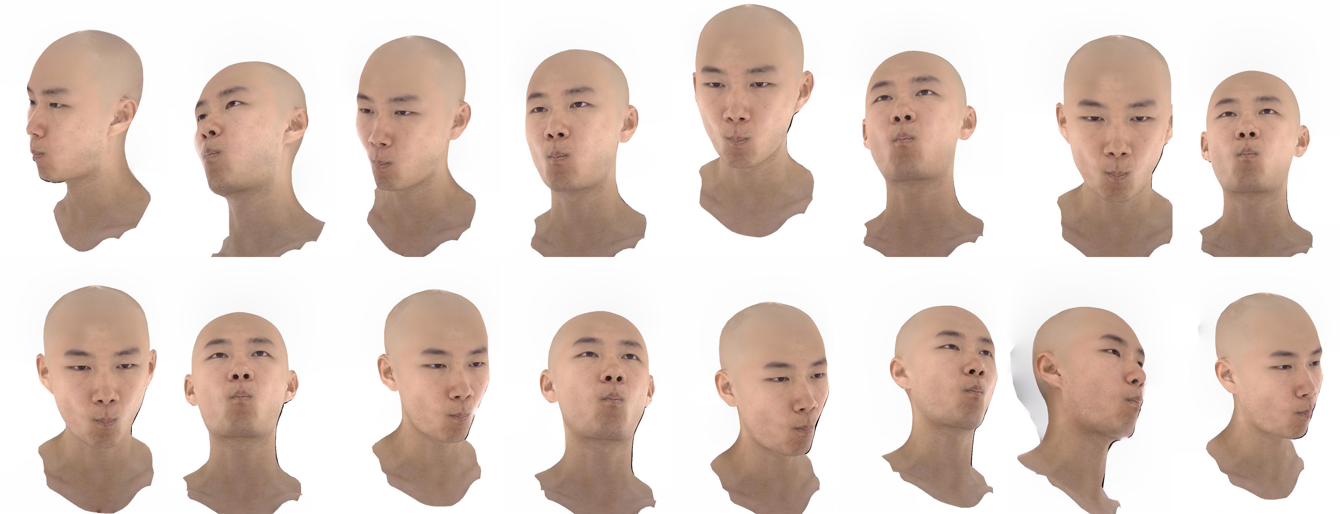 Generated bald image methodfig