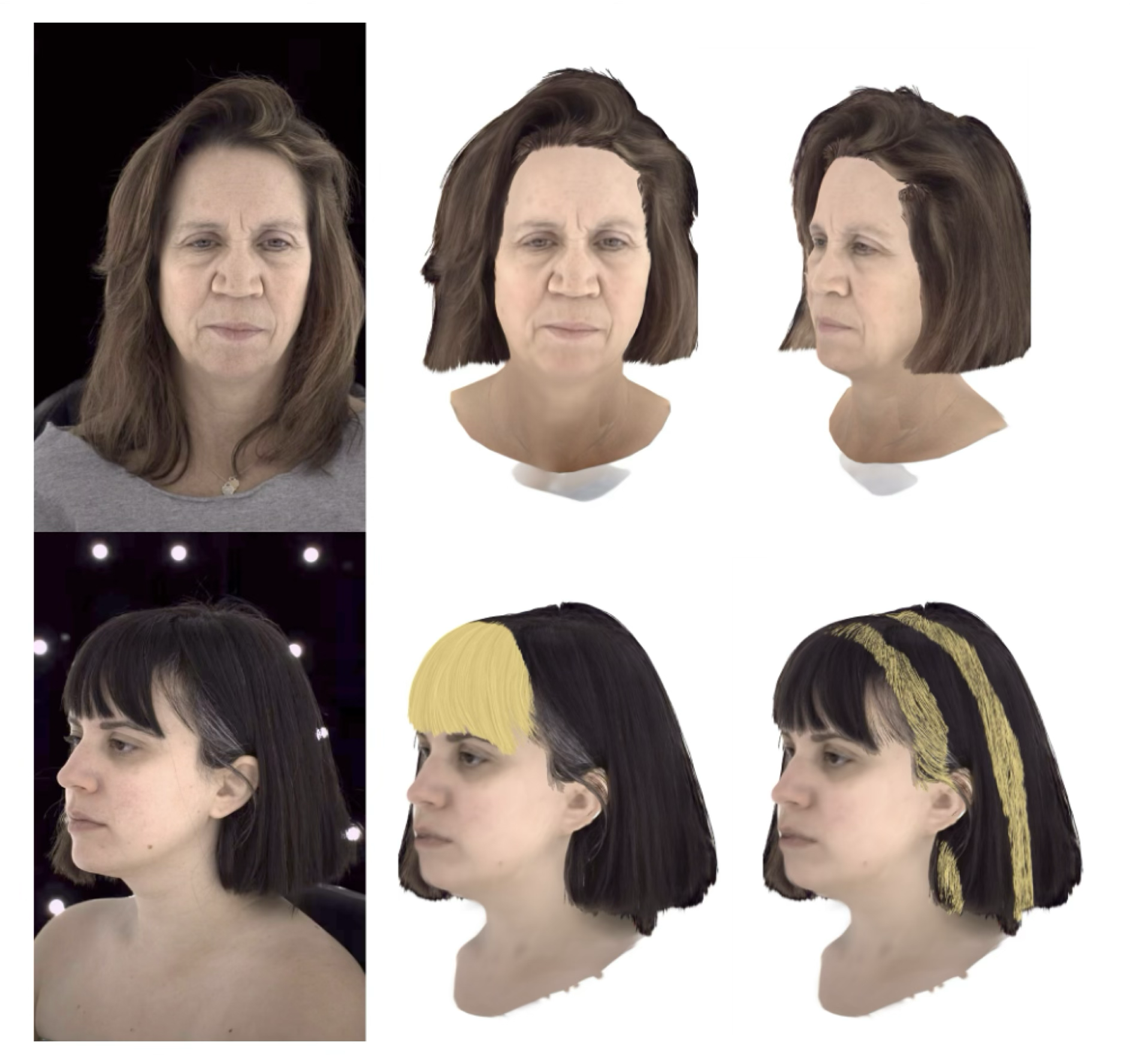 Hair Geometry and Appearance Editing